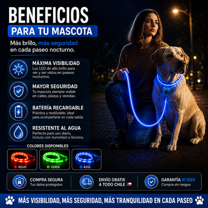 LumiWalk™ | brillo y seguridad para tu mascota en cada paseo.
