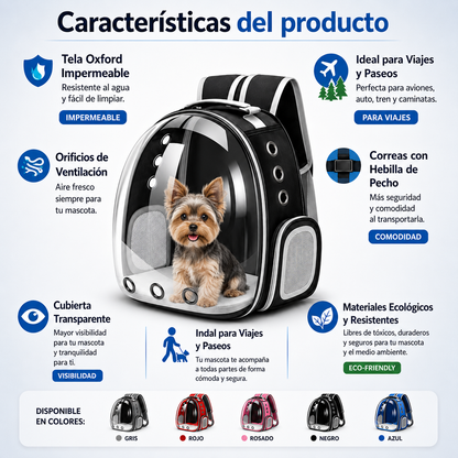 PetCarry™ | comodidad y seguridad para tu mascota donde vayas.